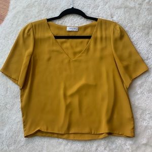 Aritzia Randy blouse